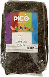 Pico Pico Girasole Micro Fine Sunflower Seeds Food 1kg