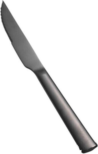 Dinox Porto Μαχαίρι Steak από Ανοξείδωτο Ατσάλι 21.5cm