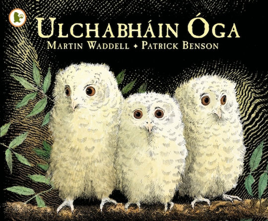 Ulchabháin Óga Owl Babies Martin Waddell Ulchabháin Óga Owl Babies Martin Waddell