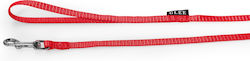 Glee Dog Leash/Lead Strap Single in Red color