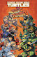 Tmnt Vs Street Fighter