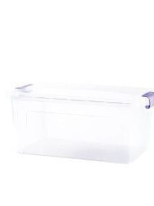 Violet Design Πλαστικό Κουτί Αποθήκευσης με Καπάκι 27x19x13cm