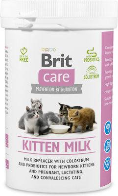 Brit Milk Cat