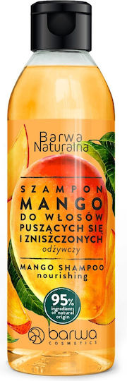 Barwa Mango Σαμπουάν Αναδόμησης/Θρέψης & Διατήρησης Χρώματος για Βαμμένα Μαλλιά 300ml