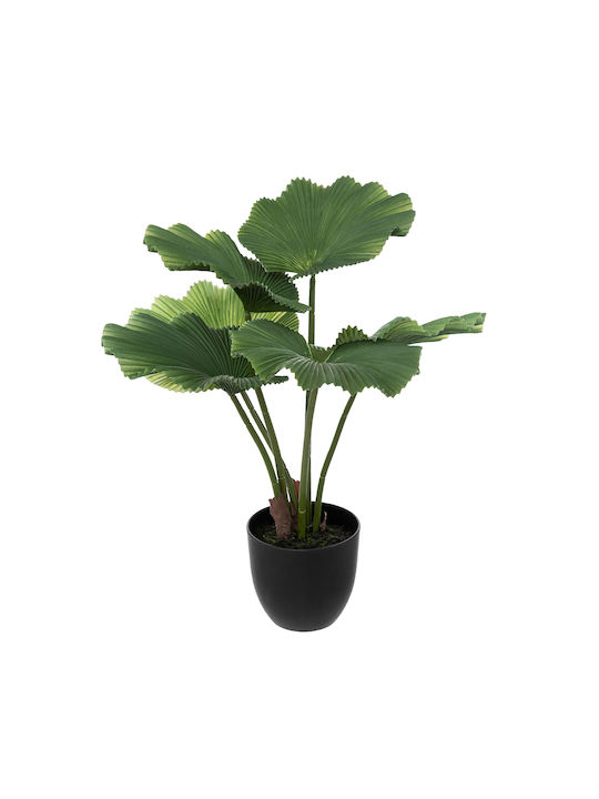 Spitishop Τεχνητό Φυτό σε Γλάστρα Φοίνικας Μαύρο 65cm