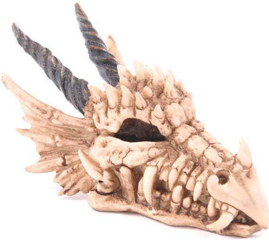 Dragon Skull Money Box