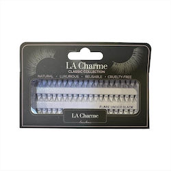 La Charme Tufts La Charme Tufts