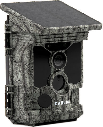 Caruba Wildcamera Raccoon Solar 4K CWC-1R