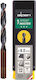 Alpen Drills Set of 10 Drills for Metal