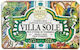 Nesti Dante Villa Sole Prickly Pear Cactus Natural Soap Bar 250g