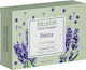 Kalliston Kalliston Schaumbad mit Olivenöl & Lavendel Duft