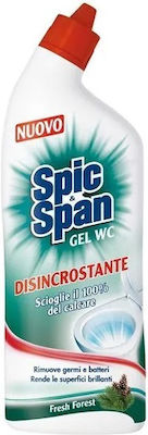 Spic & Span Gel Καθαρισμού Λεκάνης 750ml