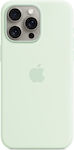 Apple Umschlag Rückseite Silikon Grün (iPhone 15 Pro Max)