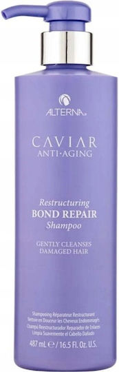 Alterna Caviar Anti-aging Restructuring Bond Shampoos für Beschädigt Haare 487ml