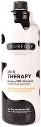 Morfose Σαμπουάν Αναδόμησης/Θρέψης 1000ml Morfose Σαμπουάν Αναδόμησης/Θρέψης 1000ml