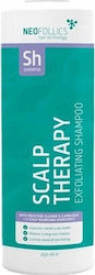 Neofollics Skalp Therapy 250ml
