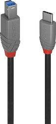 Lindy USB 3.2 Cable USB-C male - USB-B Black 3m (36668) Lindy USB 3.2 Cable USB-C male - USB-B Black 3m (36668)