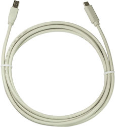 LogiLink USB 2.0 USB-C masculin - USB-B 2m (CU0161)