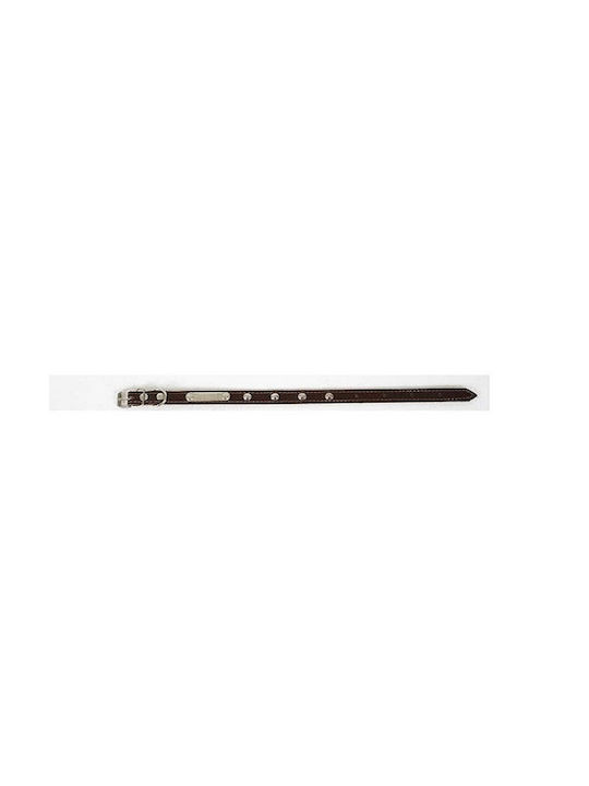 Ikaros Dog Collar Leather in Brown color 20mm