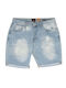 Explorer Men's Shorts Blue