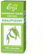 Etja Aromatisches Öl Eukalyptus 10ml 1Stück