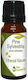 Philco Aromatic Oil Eucalyptus 10ml 1pcs ΔΦ-9206