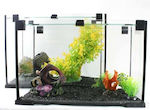 Fish Aquarium Capacity 9lt with 30x15x22cm.