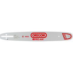 Oregon Lame pentru drujbe 45cm (18")