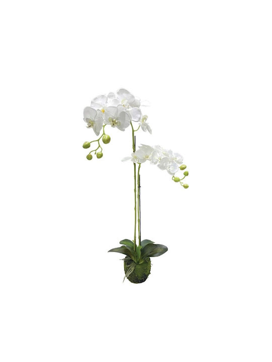 Knstliche Einbaupflanze Orchidee Wei 68cm 04-94375-1 Marhome | Skroutz  Germany