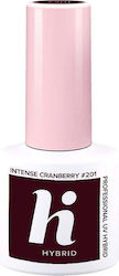Max Hybrid Hybrid Coating Lack Nr. 201 Intense Cranberry 5ml Max Hybrid Hybrid Coating Lack Nr. 201 Intense Cranberry 5ml