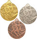VS Audio Silber Medaille Sportarten