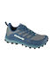 Sport Shoes Trail Running Blue
