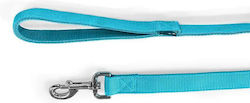 Large_glee Double Weave Reinforced Petrol Dog L...
