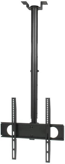 Brateck PLB-CE344 Стойка за телевизор Таван с рамо до 55" и 50кг Черен