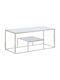 Rectangular Central Glass Coffee Table Silver M110xW45xH45cm