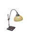DITS Lighting Glass Table Lamp with Bronze Shade and Base