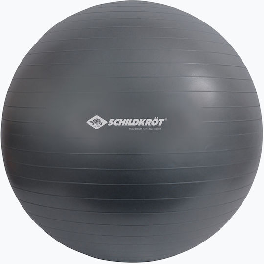 Schildkrot Μπάλα Pilates 85cm σε Γκρι Χρώμα