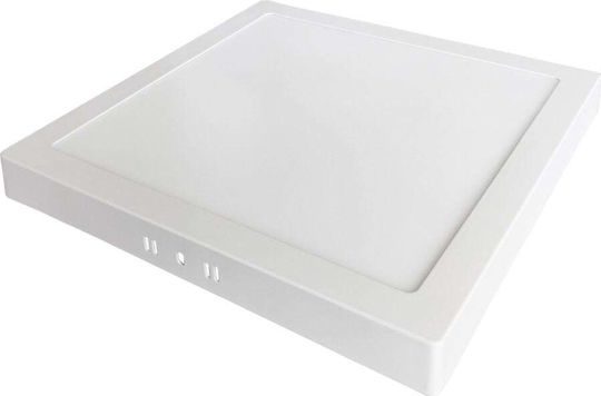 Gtv Pătrat Panou LED Putere 24W cu Alb Natural Lumini 30.3x30.3cm.