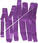 Level-S Rhythmic Gymnastics Ribbon 4m Purple