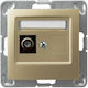 Ospel TV-Buchse in Gold Farbe GPA-1YF/m/28