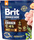 Brit 1kg Trockenfutter ohne Gluten für erwachsene Hunde mittlerer Rassen mit Huhn, Thunfisch, Apfel, Lachs, Leber und Fleisch
