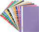 Biurfol Clipboard with Clip Conference for Paper A4 Red 20pcs