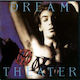 Dream Theater Vinil