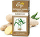 Ginger Oil Etja 10 Ml