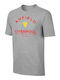 Sportarena T-shirt Gray