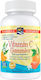 Nordic Naturals Vitamin C Gummies Vitamin for Immune System Boost, the Skin & Antioxidant Action 250mg Mandarin 120 jelly beans