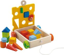 Sevi Shape Sorting Sevi Shape Sorting