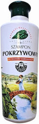Banfi Σαμπουάν 250ml