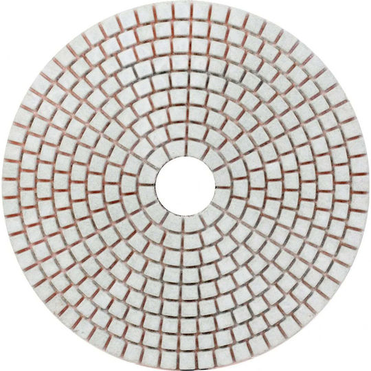 Proline Schleifscheibe Baumaterialien 125mm