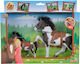 Cal Simba Horse Champ Beauty Cal Negru